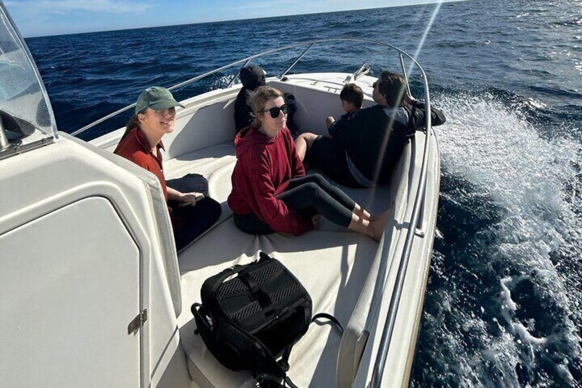 Whale Watching in San Jose del Cabo