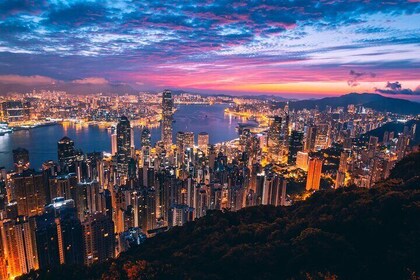 Classic Night City Tour of Hong Kong