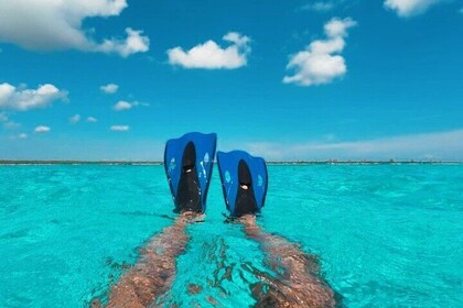 Catamaran in Cozumel with Beach Club Snorkel and Drinks