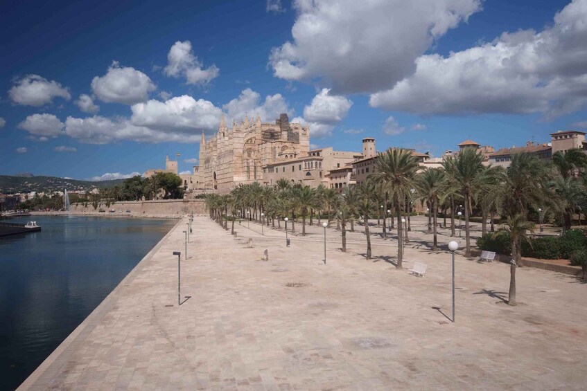 Picture 7 for Activity Palma: Walking Tour with Mediterranean Delicacies
