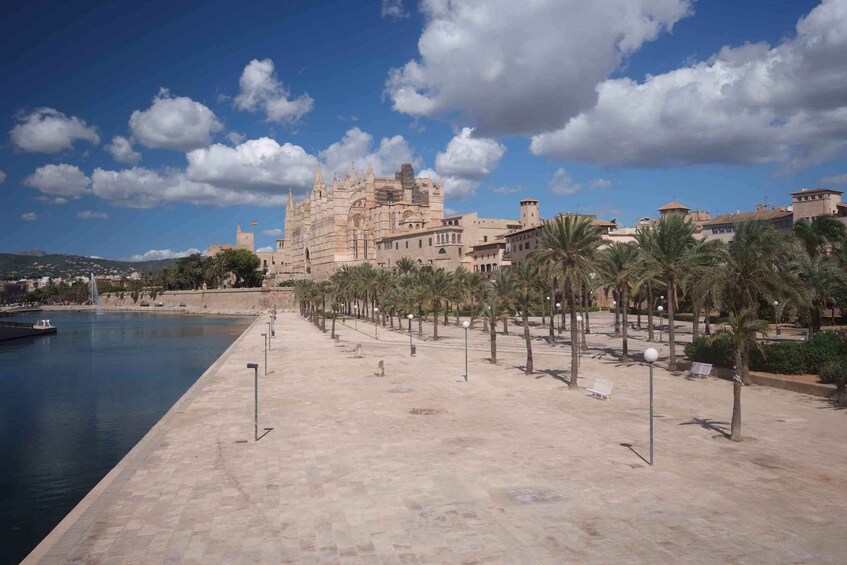 Picture 7 for Activity Palma: Walking Tour with Mediterranean Delicacies