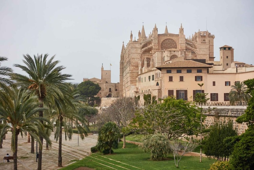 Picture 6 for Activity Palma: Walking Tour with Mediterranean Delicacies