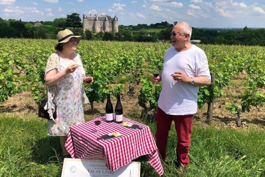 Afternoon Loire Valley Wine Tour from Tours or Amboise