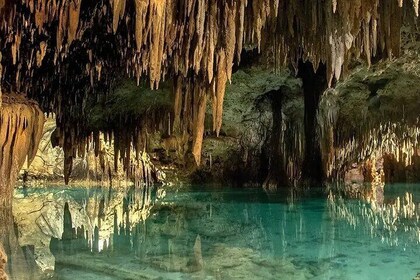 Off Road in Cozumel with ATVs, El Cedral Ruins and Cenote