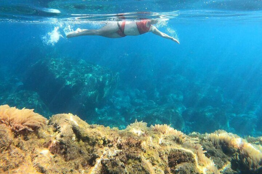 Open-Water Swimming in Madeira