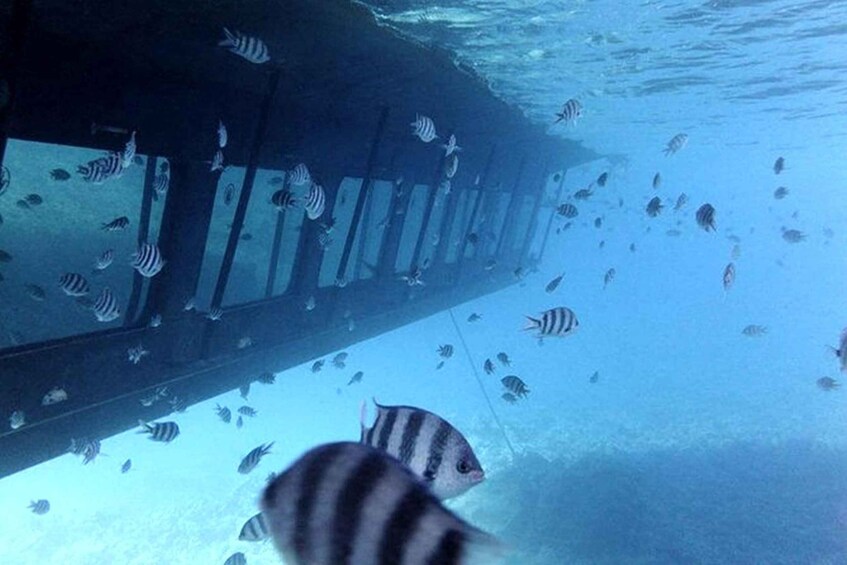 Picture 1 for Activity Hurghada: Empire Submarine Boat Trip with Snorkel and Drinks