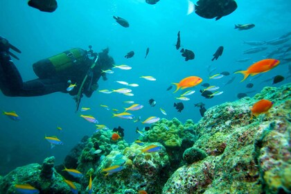 Marmaris: Scuba Diving with a Qualified Instructor