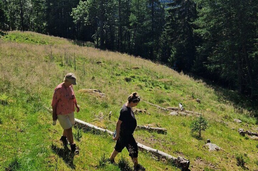The walk is suitable for pregnant people if your condition allows hiking and hills
