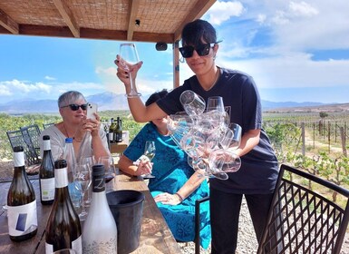 Heraclión: tour de degustación de vinos de Creta y almuerzo gourmet