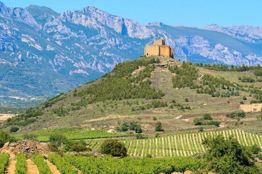 La Rioja Private Tour to 3 Wineries with Wine Tasting