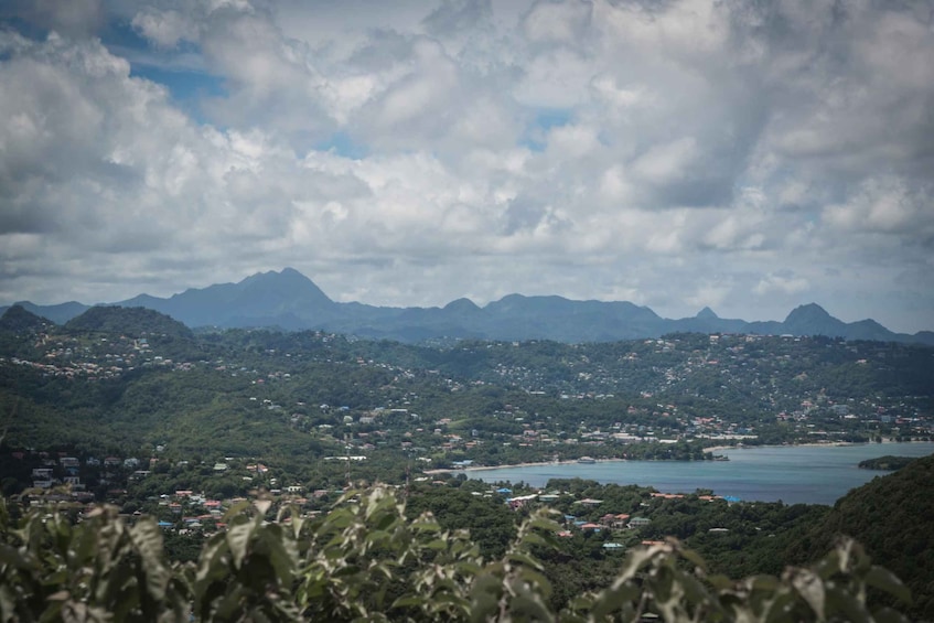 Picture 2 for Activity St. Lucia: 2-Hour Mount Pimard Hike