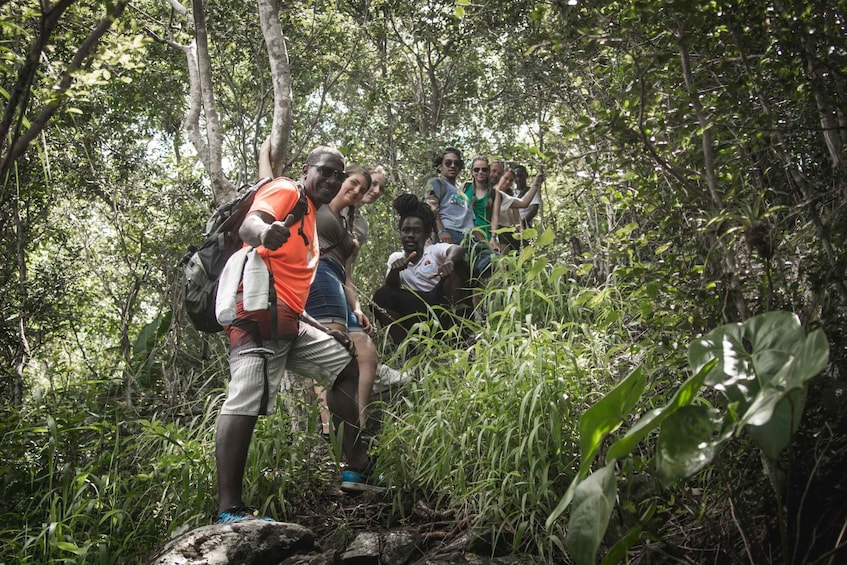 St. Lucia: 2-Hour Mount Pimard Hike