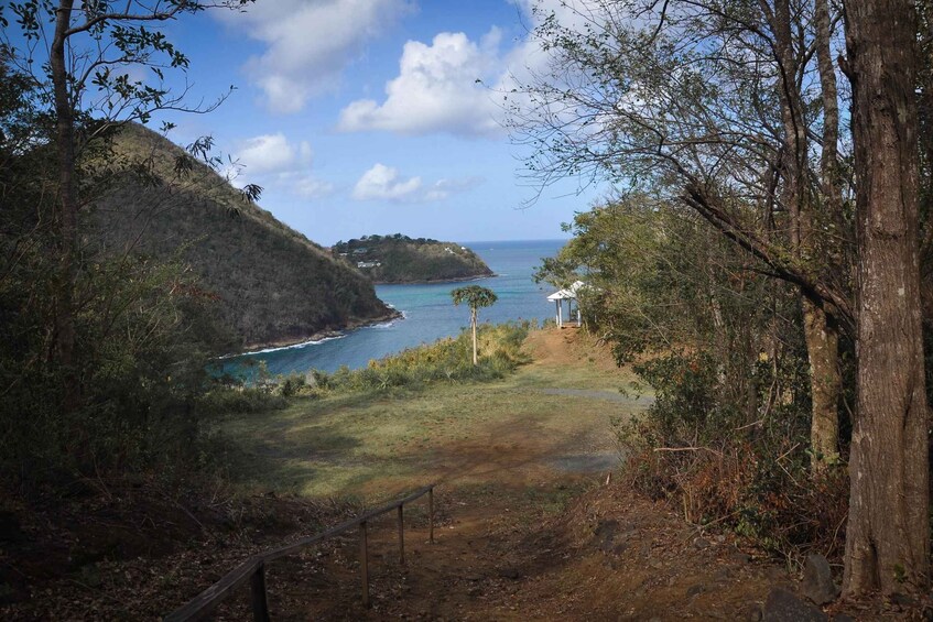 Picture 1 for Activity St. Lucia: 2-Hour Mount Pimard Hike