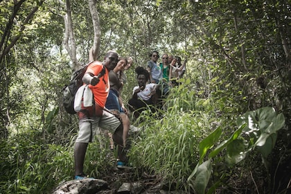 St Lucia: 2-timmars vandring i Mount Pimard
