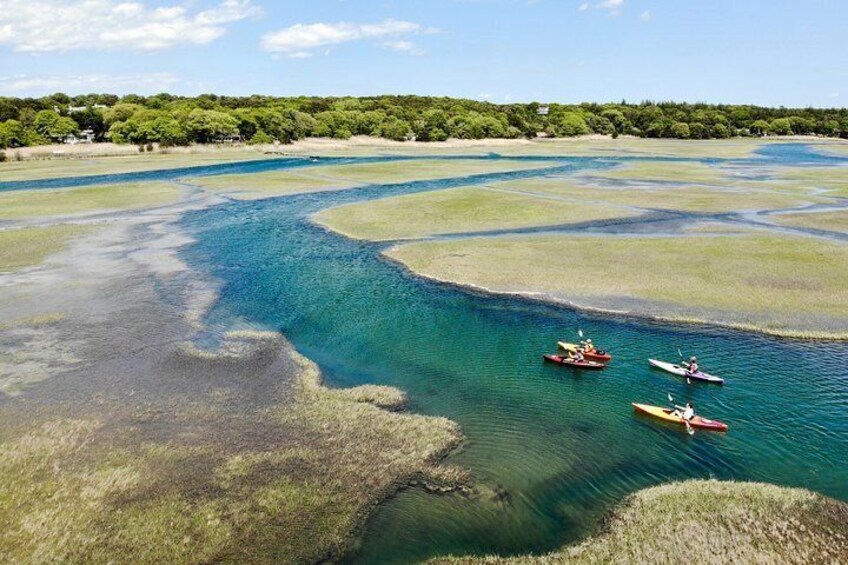 Come with us to explore the beautiful tidal flats of Cape Cod