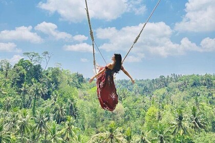 Bali Swing, Monkey Forest and Waterfall Tour