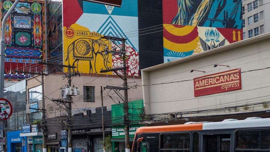 Sao Paulo, Pinheiros - Food & Graffiti Tour