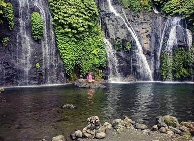 Excursión a la cascada de Banyumala, Bedugul y el lago Beratan