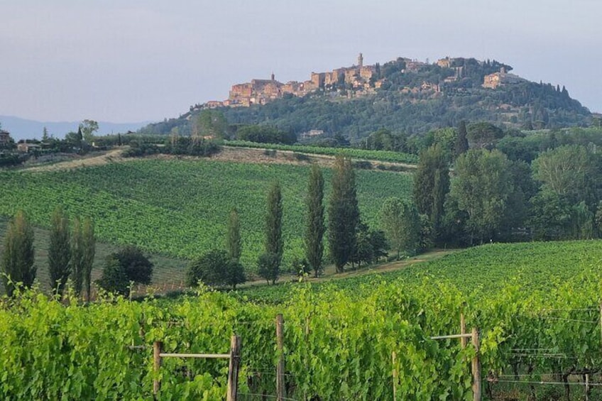 Private tour Wine and cheese a perfect combinations val 'Orcia