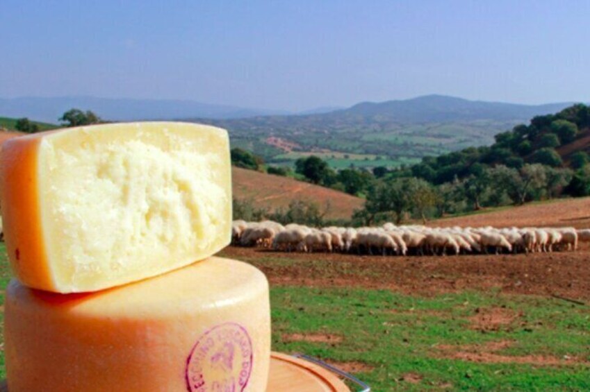 Private tour Wine and cheese a perfect combinations val 'Orcia