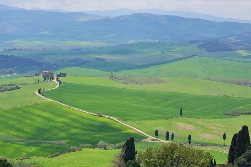 Private tour Wine and cheese a perfect combinations val 'Orcia