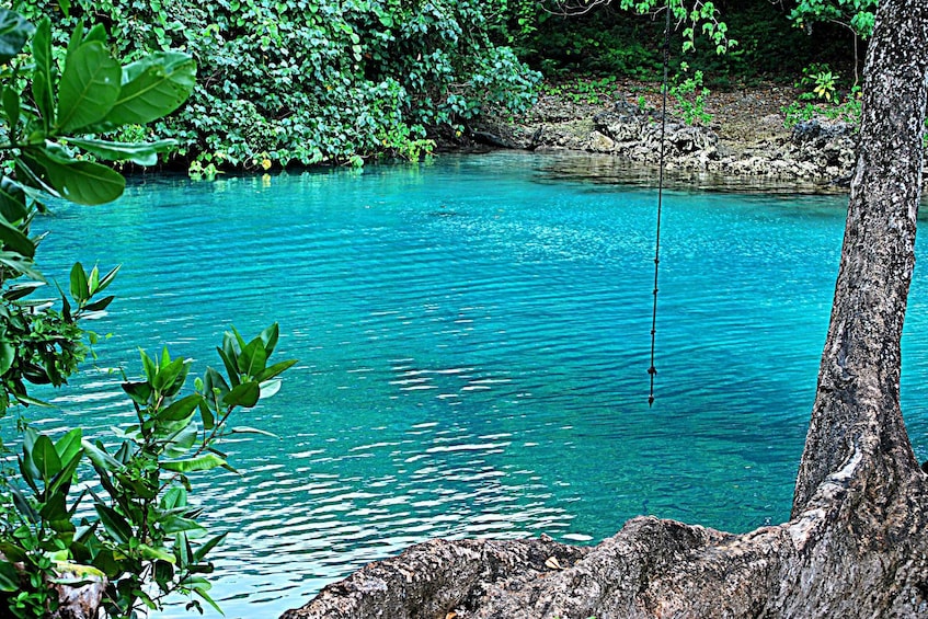 Picture 1 for Activity Efate: Full-Day Tour