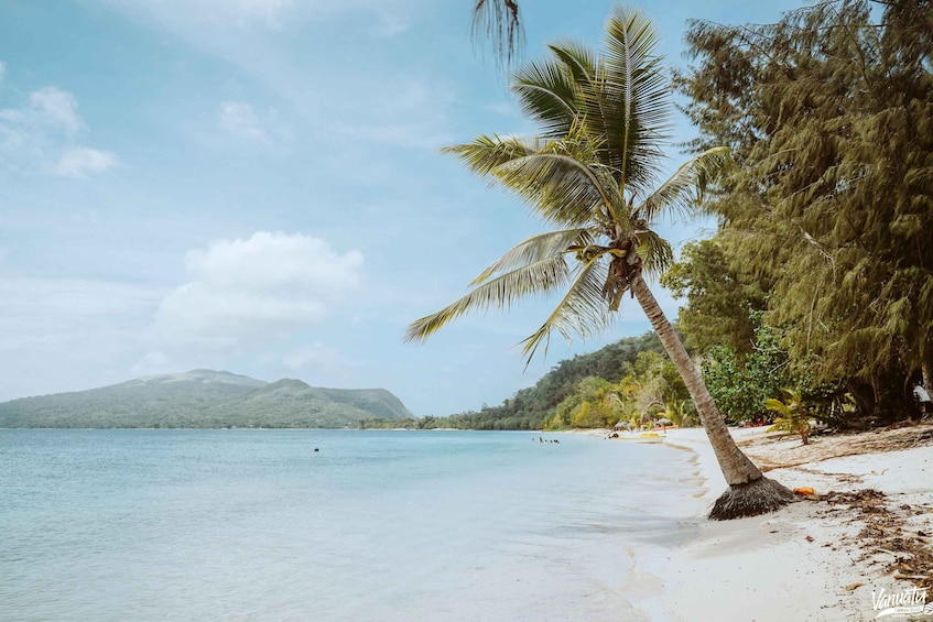 Picture 7 for Activity Efate: Full-Day Tour