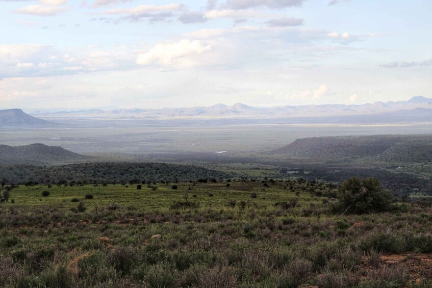 Picture 11 for Activity 4-Day Addo to Karoo Safari