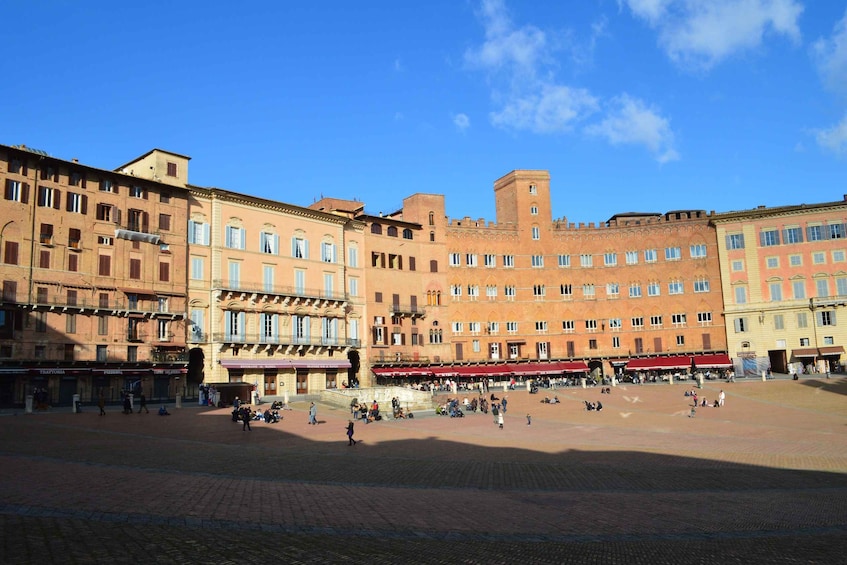 Picture 4 for Activity Siena: Civic Museum Private Tour