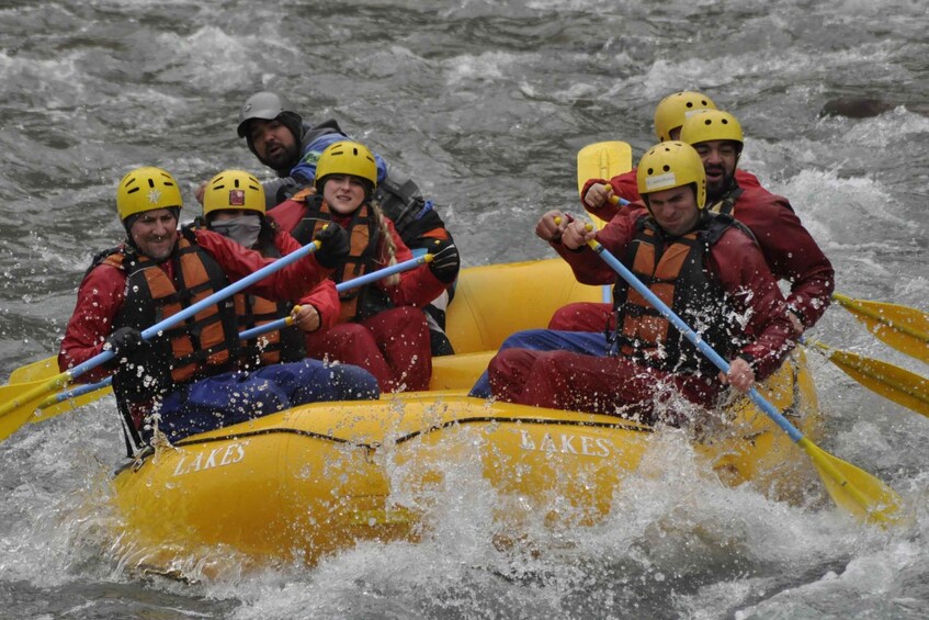 Picture 8 for Activity Mendoza: 12-KM River Rafting Tour in the Andes