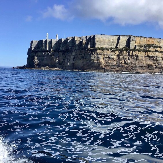 Picture 7 for Activity Jervis Bay: 2-Hour Cruise of Jervis Bay Passage