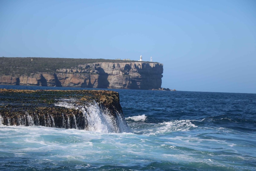 Picture 2 for Activity Jervis Bay: 2-Hour Cruise of Jervis Bay Passage