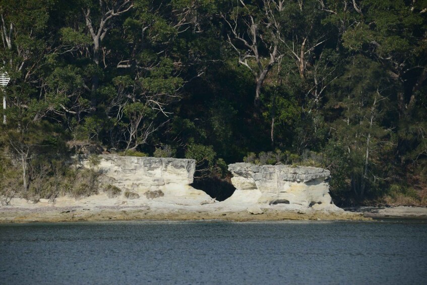 Picture 8 for Activity Jervis Bay: 2-Hour Cruise of Jervis Bay Passage