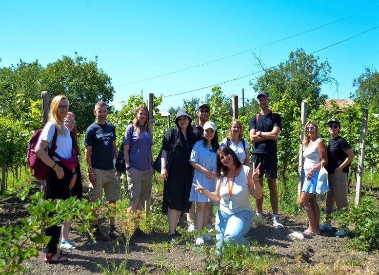 Picture 4 for Activity From Tbilisi: Kakheti Wine Region, Including 7 Wine Tastings