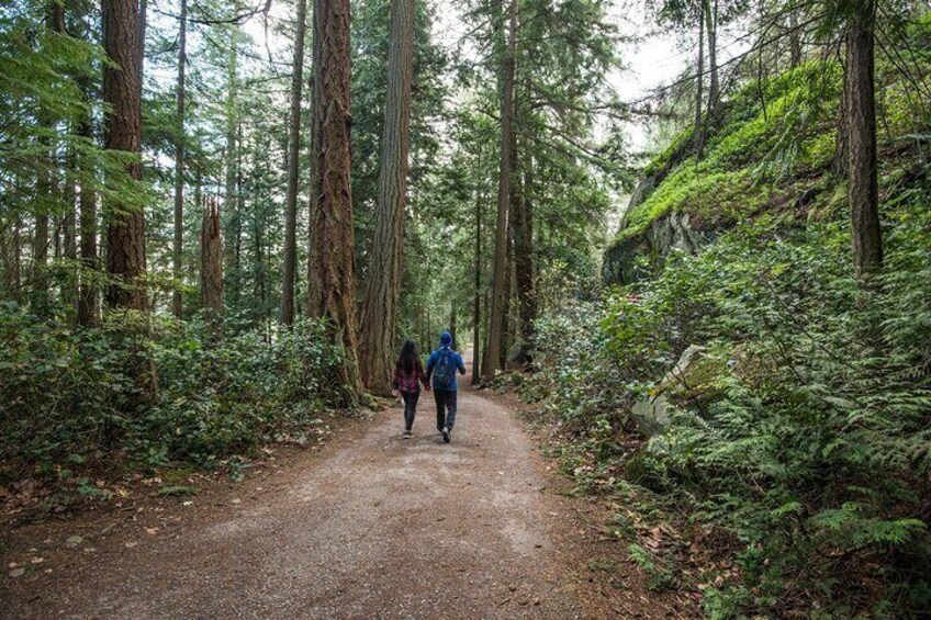 Kelowna Guided Hiking Experience