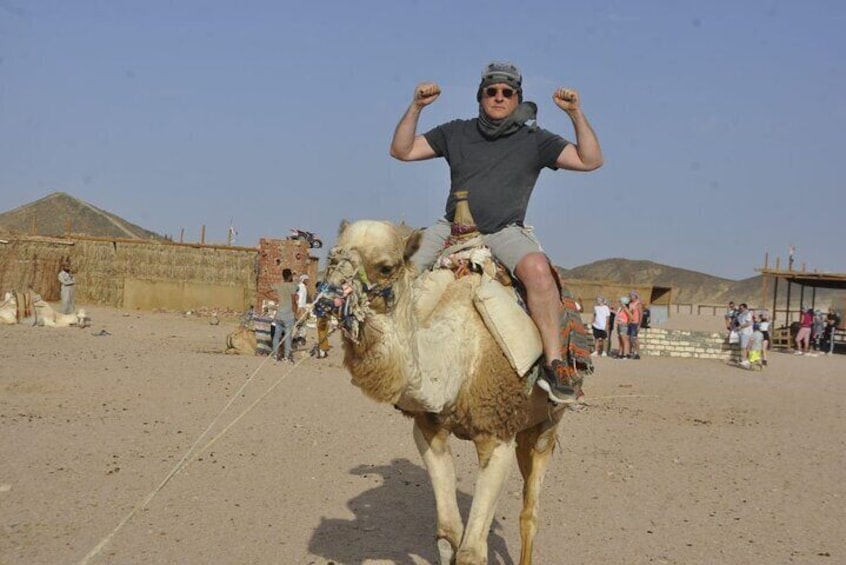 Half Day Quad Bike Adventure and Camel Ride in Beduion Camp