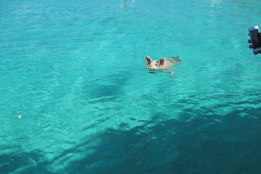 Turquoise Experience in the Exuma Cays