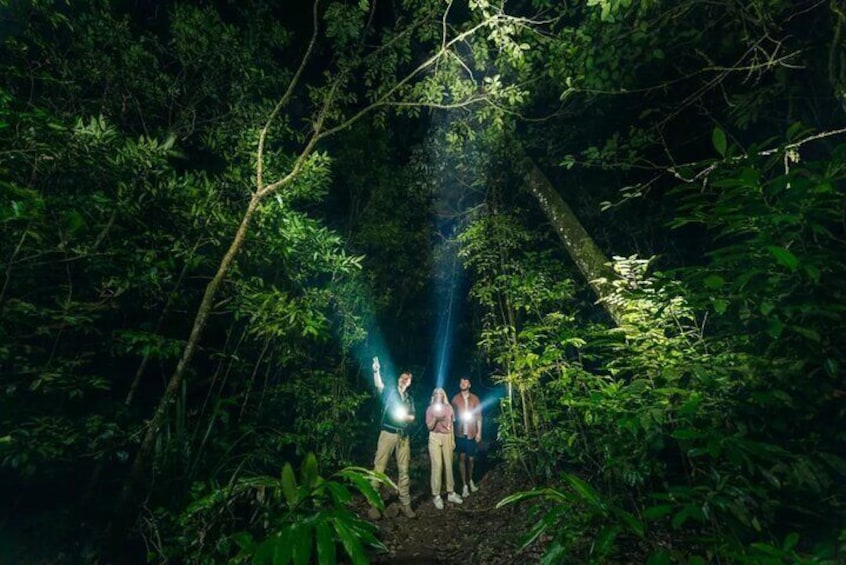 Private Uvita Nature and Wildlife Night Tour in Tropical Forest