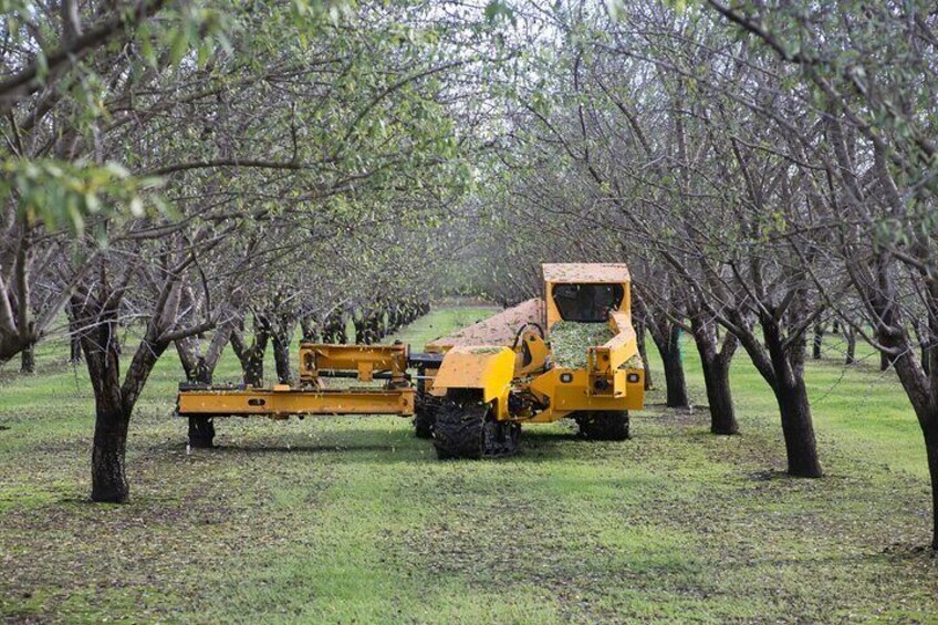 Modesto Discovery Agri-History and Cultural Highlights Audio Tour