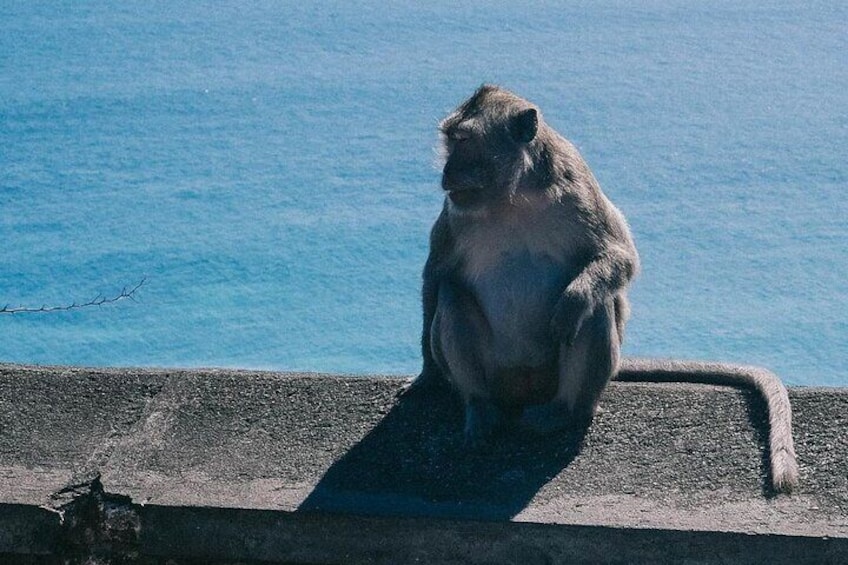 Uluwatu Temple Scenic Beaches and Fire Kecak Dance Tour 