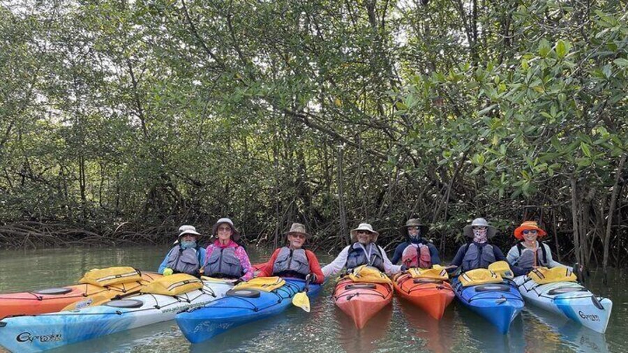 Private Marino Ballena National Park Sea Kayaking and Snorkeling