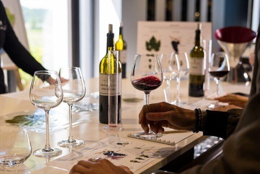 Châteauneuf du Pape Wine Private Tasting Tour From Marseille