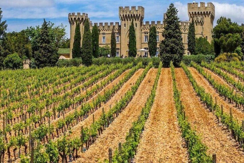 Châteauneuf du Pape Wine Private Tasting Tour From Marseille