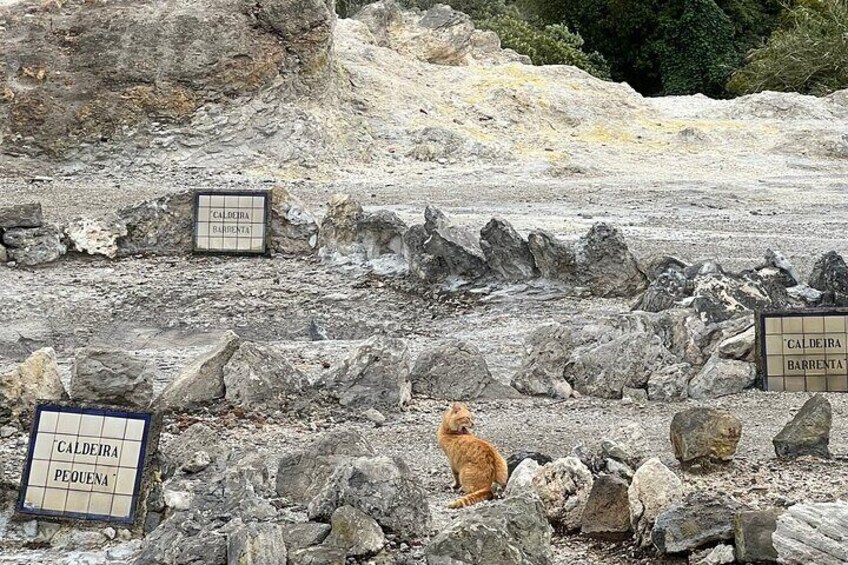 Full Day Private Tour in Furnas Valley Breath of the volcano 