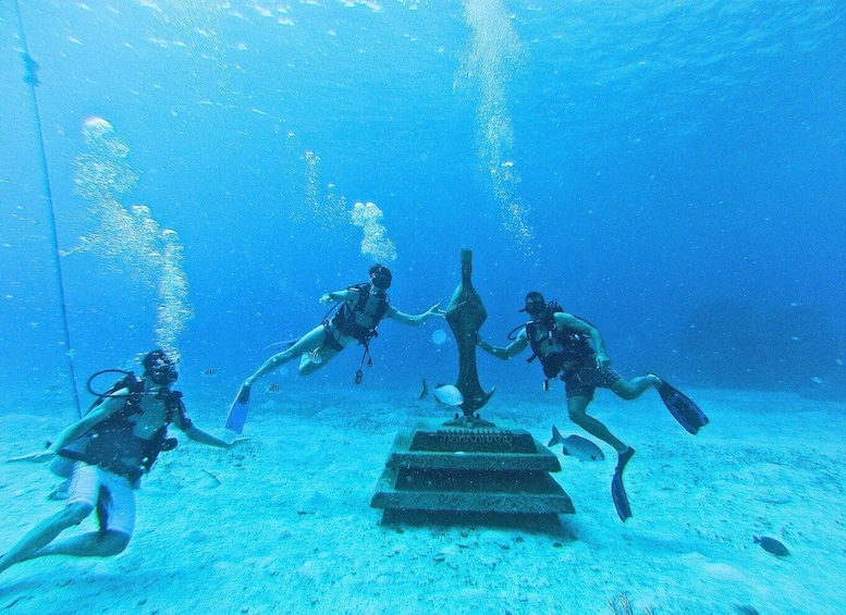 Picture 5 for Activity Cozumel: One Tank Scuba Dive and Full Chankanaab Park Access