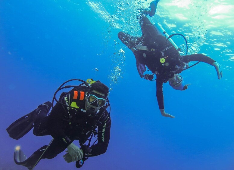 Picture 6 for Activity Cozumel: One Tank Scuba Dive and Full Chankanaab Park Access