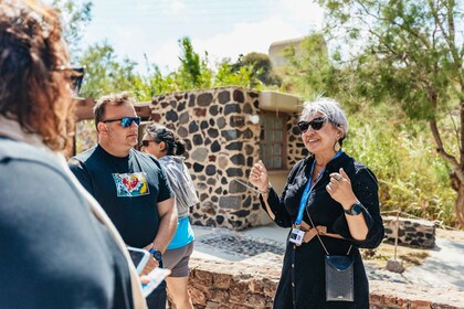 Santorini: Akrotiri Prehistoric City Private Guided Tour