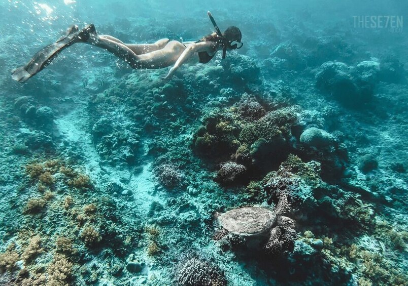 From Bali: 2-Day Private Gili Island Snorkel Tour with Hotel