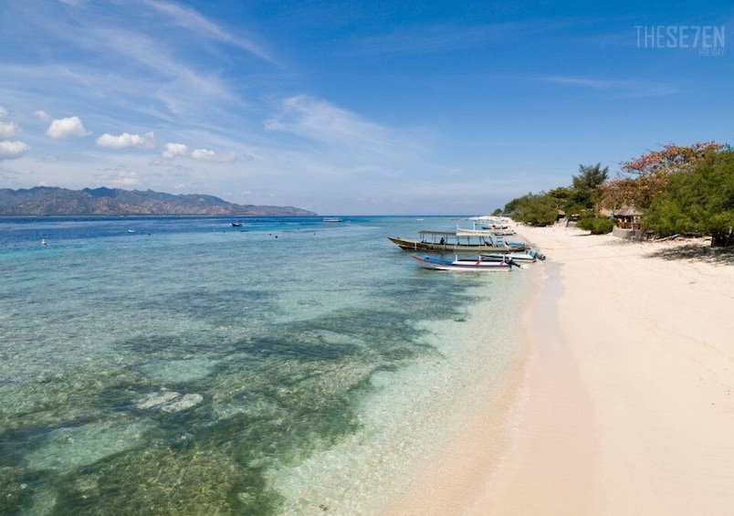 Picture 9 for Activity From Bali to Gili: 2D1N Private Snorkeling Tour + Hotel Stay