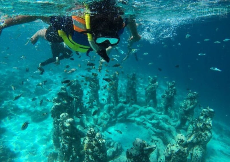 Picture 7 for Activity From Bali to Gili: 2D1N Private Snorkeling Tour + Hotel Stay